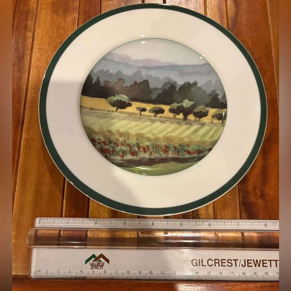Williams-Sonoma Sonoma County Salad Plate Made in Japan 8 1/4